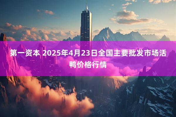 第一资本 2025年4月23日全国主要批发市场活鸭价格行情