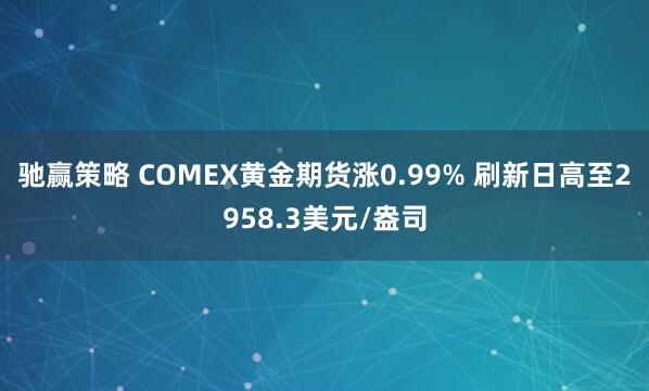 驰赢策略 COMEX黄金期货涨0.99% 刷新日高至2958.3美元/盎司